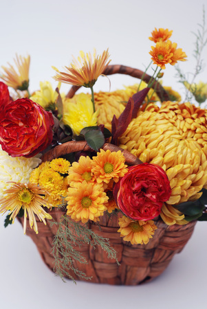 Autumn Bouquet of Colorful Flowers in basket. Chrysanthemum and roses.の写真素材