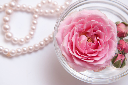 Composition of spa treatment on light background. Bowl with pink rose flower on water.の写真素材