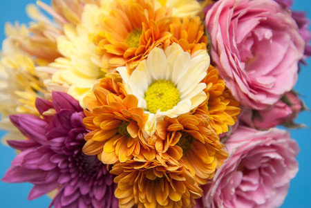 Bouquet from various colors with roses, chrysanthemumの写真素材