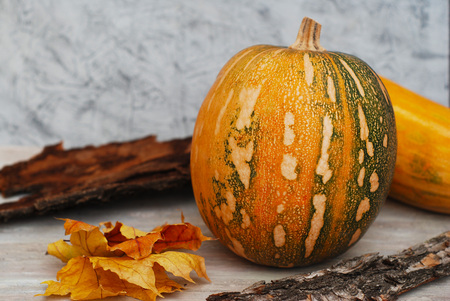 Small orange Pumpkin with maple leaves, halloweenの写真素材