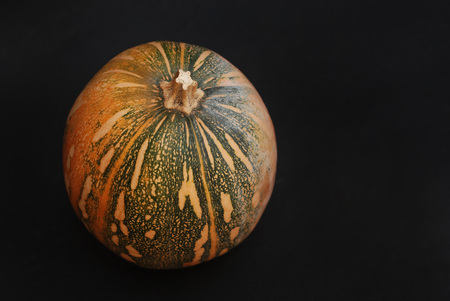 Small halloween pumpkin on a black backgroundの写真素材
