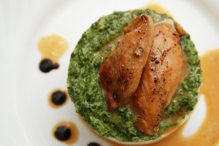 Stuffed roast chicken with mashed potatoes with sauce. Close up, Top Viewの写真素材