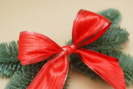 Red gift bow with glitter close-up with Fir Branches isolated on a Ivory background.の写真素材