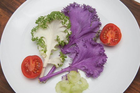 Purple and Green Lettuce Leaves Isolated on White Background. Purple Lettuce. Healthy, diet, Fitness, Loose Weght Concept.の写真素材