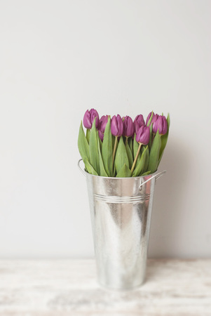 Bouquet of Beautiful Purple Pink Tulips in Metalic Vase Isolatedの写真素材