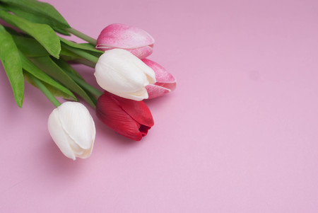 Tulips Flower. Fake or Artificial Bouquet of Tulips in the Corner of Image.の写真素材