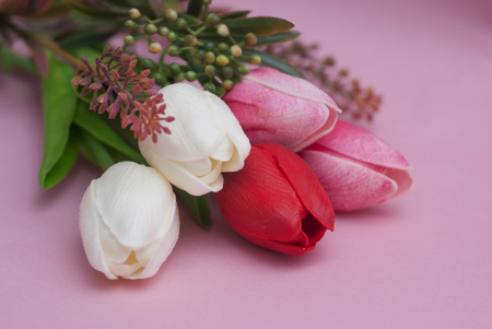 Spring Tulip Flower Bouquet on the Corner of Image. Pink Background.の写真素材