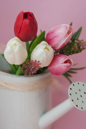 Bouquet of Tulips Flower Bouquet in Watering Can. Pink Background with Copy Space for Text. Spring and Easter Image.の写真素材