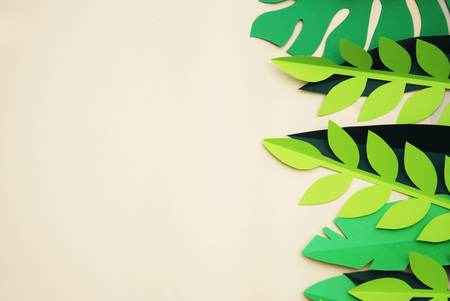 Summer Tropical Paper Cut leaves, Frame. Exotic summertime. Space for text. Beautiful dark green jungle floral background. Monstera, palm.の写真素材