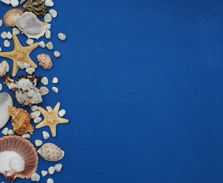 Flat lay. Shells of various kinds on a blue background. Seashells and starfish on a dark blue background. Vacation conceptの写真素材