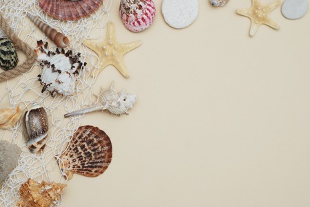 Summer and Vacation concept. mix of Shells and Stones over Ivory Background. Top View.の写真素材