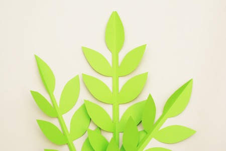 Leaves Paper Cut Textured Background with shadow seamless texture. Tropical, Summer Leaves exotic textureの写真素材