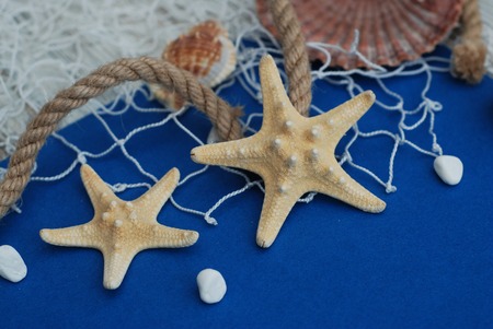 Starfish, Shell, Stones, Rope and Net Against a Blue Background. Summer Holliday. Nautical, Marrine conceptの写真素材