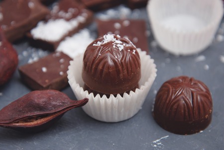 Chocolates Pieces Isolated on Gray Background. Chocolate. Fine Pieces of Chocolates. Chocolate...