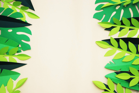Summer Tropical Paper Cut leaves, Frame. Exotic summertime. Space for text. Beautiful dark green jungle floral background. Monstera,の写真素材