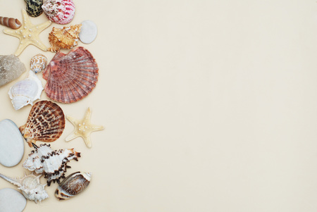 Summer and Vacation concept. Mix of Shells and Stones over Ivory Background with Copy space for...