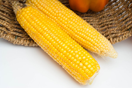Golden Corn Isolated on a White Background. Top View of Two Raw corns. Summer Healthy Food.