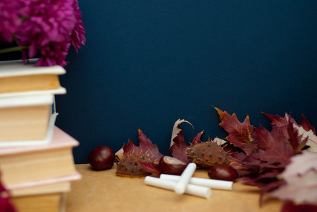 Back to School concept. Autumn Flowers and Leaves Book Chalks. copy space. School Children Autumn.