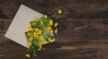 yellow Little field flowers in Envelope Rustic Wooden Background Bannerの写真素材