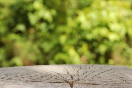 Rustic Wooden Floor Board and Bokeh Blur Summer Garden Backgroundの写真素材