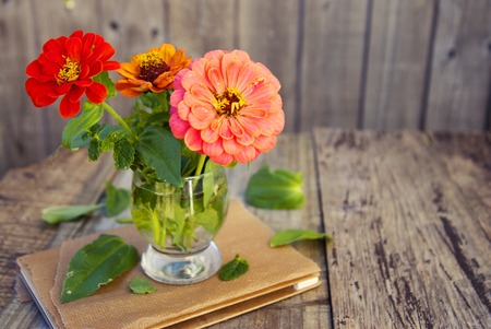 Bouquet of zinnia flowers on rustic wooden table.の写真素材