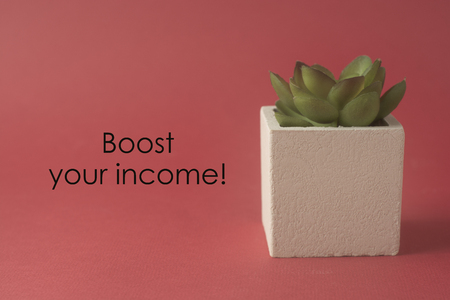 Boost your income. Business inscription over red background with decorative plant.の写真素材