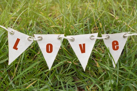 Valentine's day background. Party decorative garland with Love words, inscription. Green grass...