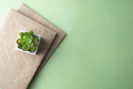 Office desk with notebook, green plant succulent. Minimalist style. space for text. Business...