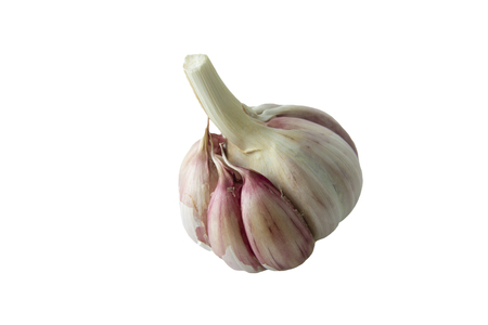 Garlic on white background. Isolated garlic. Cut out. solution against coldの写真素材