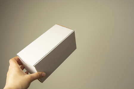 Hand holding blank white box , mock up. copy space. Packing and delivery concept. Isolated.