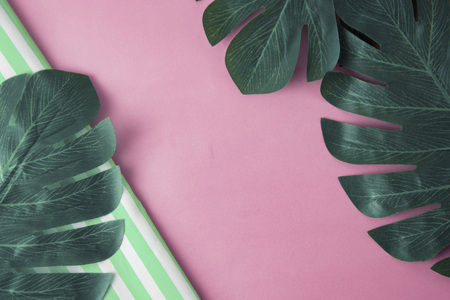 Abstract background. Template for business, education or fashion concept. Tropical leaves Monstera on pink background. Copy space. Summer, vacation.の写真素材