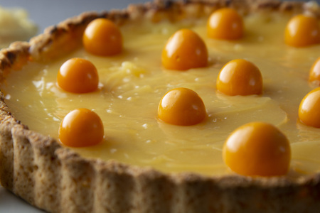 Lemon curd pie. Homemade delicious pie ,tart filled with lemon curd. Sweet dessert, Lemon curd pie decorated with physalisの写真素材