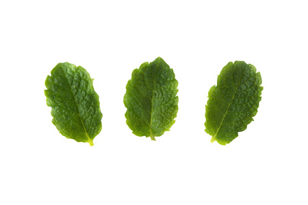 Three fresh mint isolated on white background. Leaves for coktails or fresh fruits. Summer tempalte for design, Food mockupの写真素材