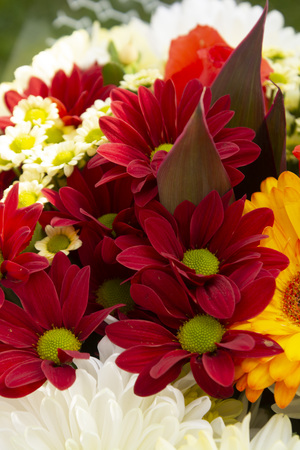 Colorful spring bouquet flowers with roses, chrysanthemum and camomile. Beautiful flower gift. Template for design.の写真素材