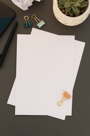 Mock up with blank pappers, succulent plant, office accessories on grey background with copy space,...