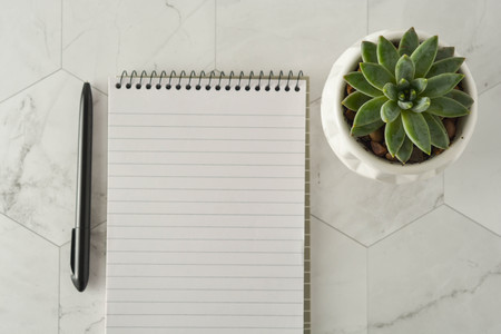 Workplace styled flat lay. Notebook, pen and succulent on marble table. Copy spaceの写真素材