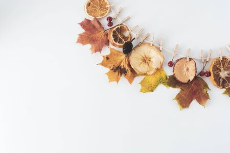 Fall composition of leaves hanging on a clothesline isolated on white, copy space. Flat lay autumn creative background.の写真素材
