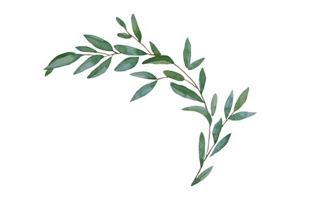 Hand drawn leaves, watercolor illustration. Green and blue spring, easter botanical element isolated.の写真素材