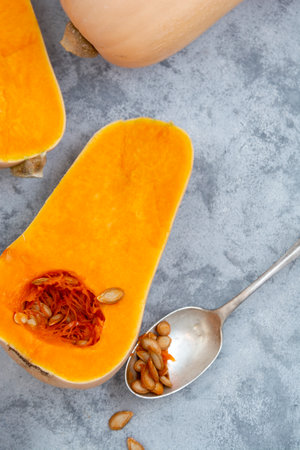 Butternut squash isolated, autumn vegetables for seasonal food. Copy space.の写真素材