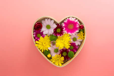 Colorful Chrysanthemum flowrs in heart shaped box. Floral composition, greeting card template, pink background.の写真素材