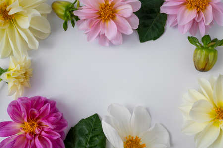 Beautiful flower composition, frame of dahlias on a white background. Pink, white, yellow flowers, mockup or templateの写真素材