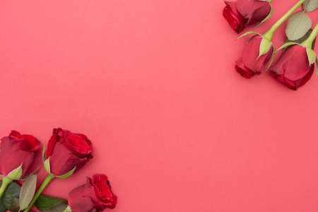 Red roses over red background flat lay. Valentine's Day, Birthday abstract background with copy space for text.の写真素材