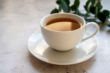 Cup of tea, herabal natural tea. Morning warm tea with eucalyptusの写真素材