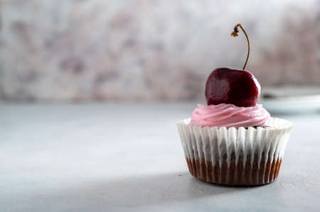 Cherry chocolate cupcakes with pink cream. Homemade baked treat or desserts, copy spaceの写真素材