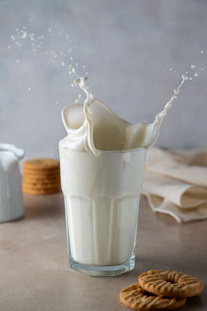 Fresh milk splash. Pouring milk into glass creating splash on a white background. Selective focus