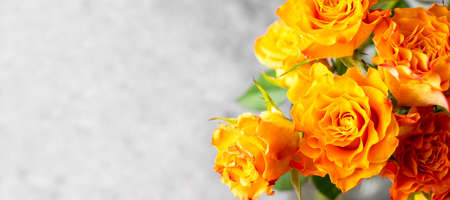 Close up orange yellow rose flowers bouquet with copy space grey background banner
