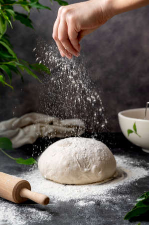 Cooking sourdough homemade bread. Sieving flour over raw bread dough on table, dark background,...