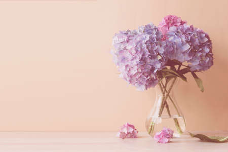 Blue and pink hydrangea blooming flower bouquet. Spring floral background. Selective focusの写真素材