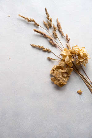 Still life mockup, dry grass, dried flowers. Beige table background. Flatlay, copy space for textの写真素材