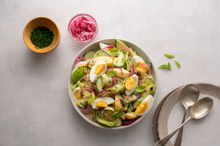 Healthy food. Delicios potato salad with eggs, cucumbers, cabbage and red pickled onions. Delicious healthy summer saladの写真素材